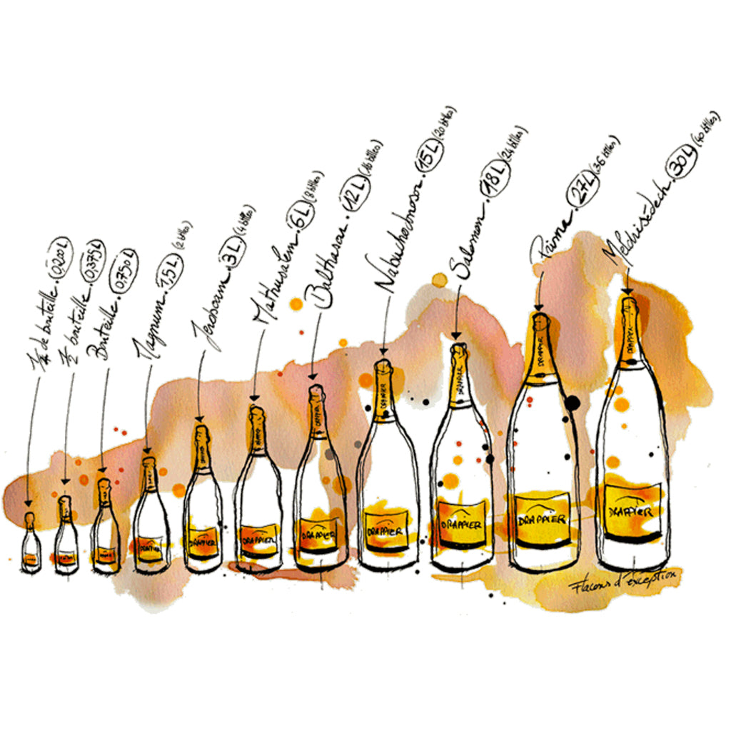 Champagne Drappier - A New Wave Producer Keeping the Dream Alive!