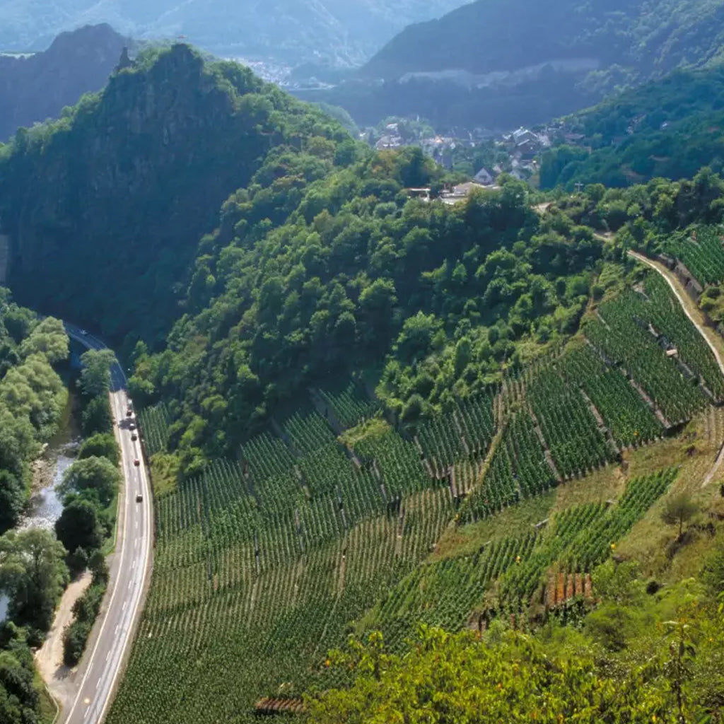 Red Wine Hiking Trail in the Ahr Valley Wine Region of Germany