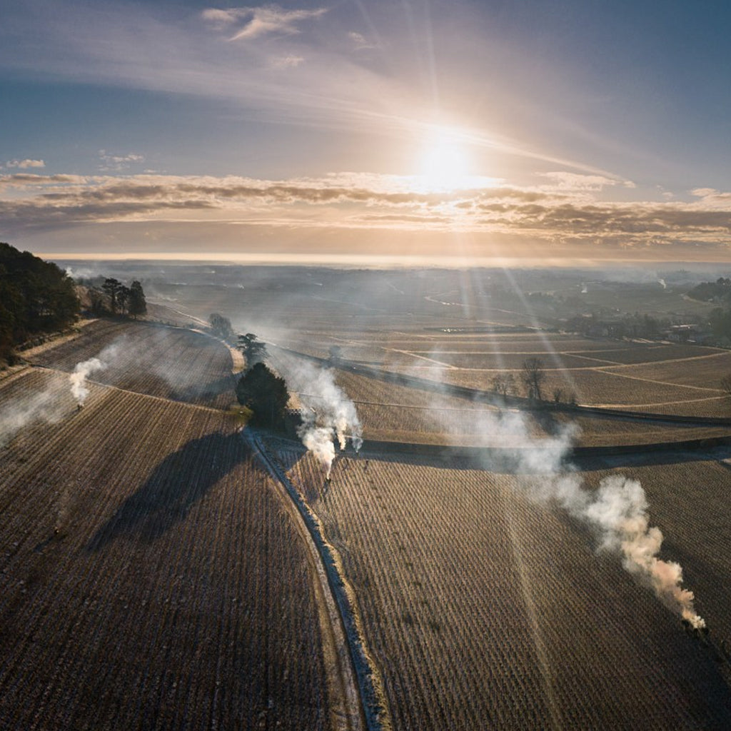 Early morning sun shining over frost-covered Burgundy vineyards with smoke rising from protective frost candles (bougies) placed between the vine rows.
