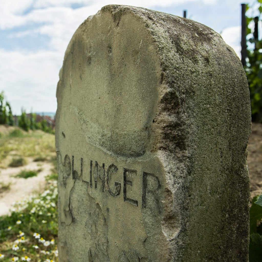Champagne Bollinger Marker Stone