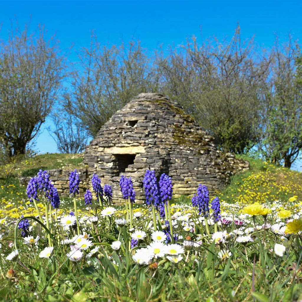 Spring flowers surrounding a dry stone Cadole in the Aube region of France