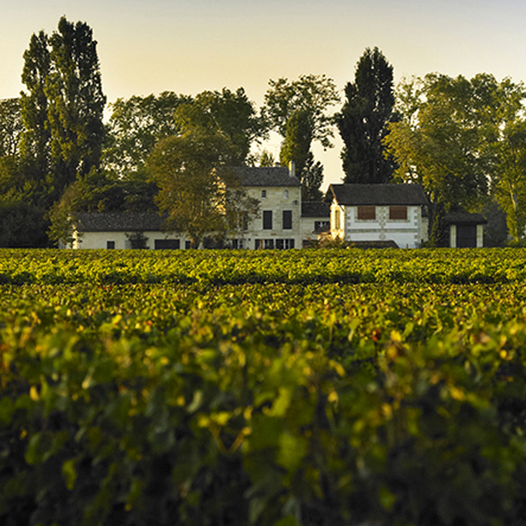 Château La Grave | Pomerol