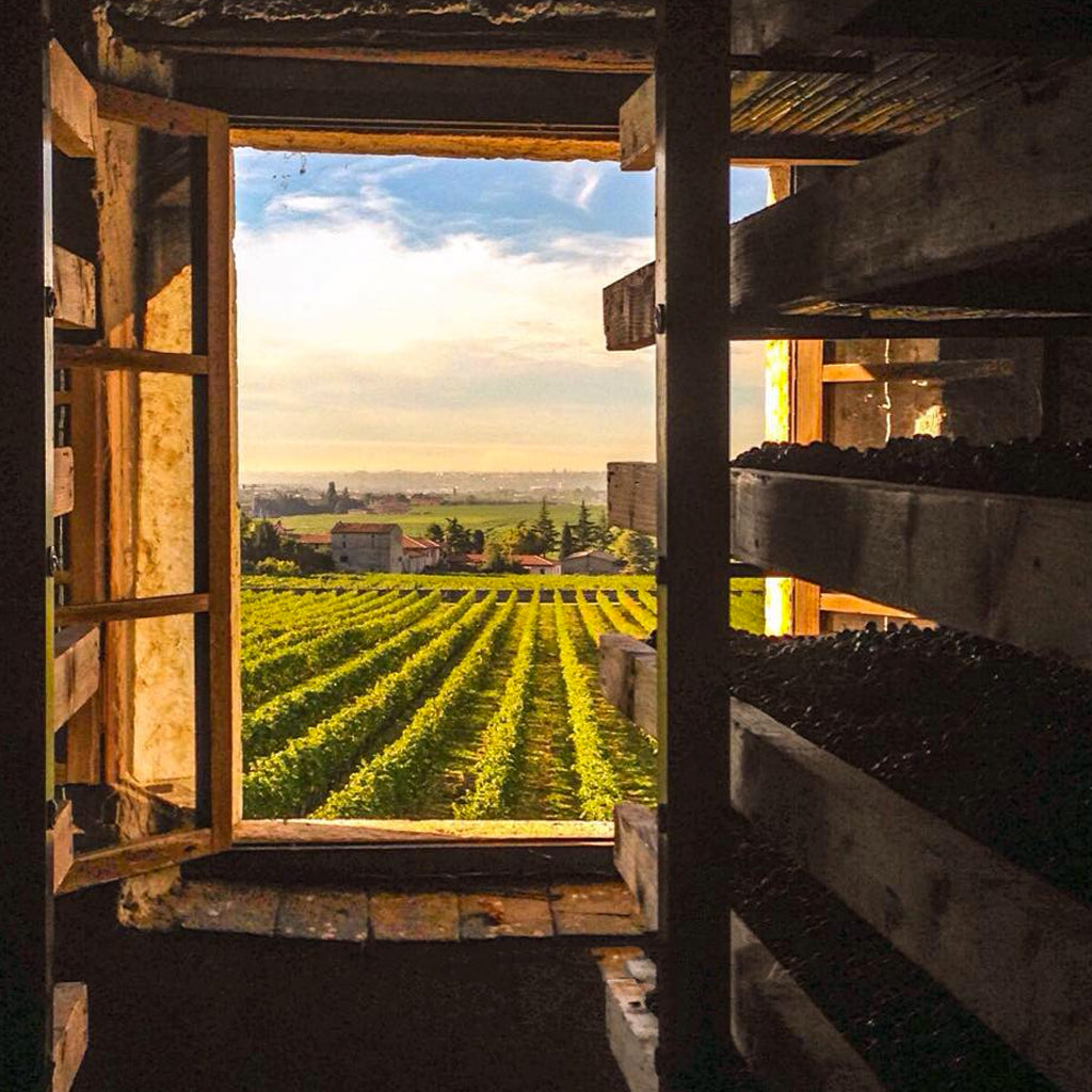 View from the drying loft at Serègo Alighieri