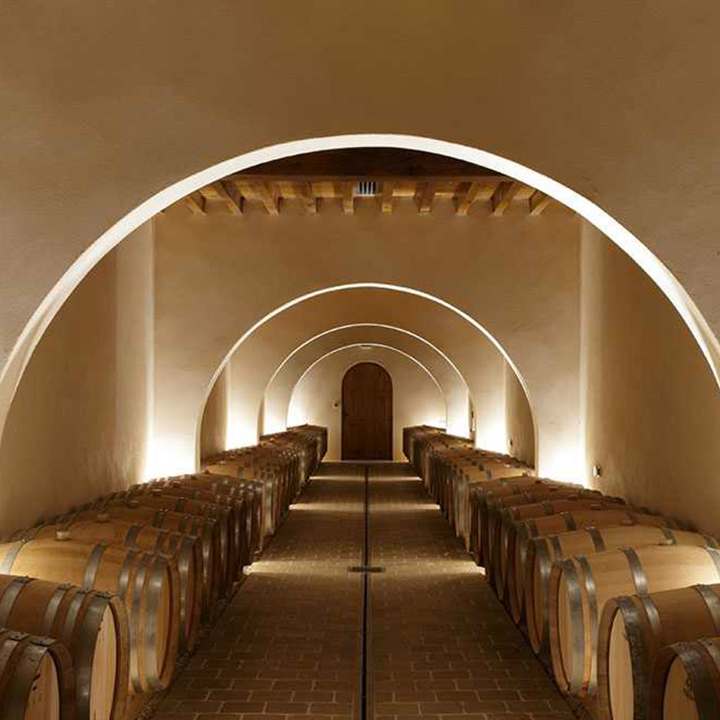 Domaine des Berthiers Barrel Cellar