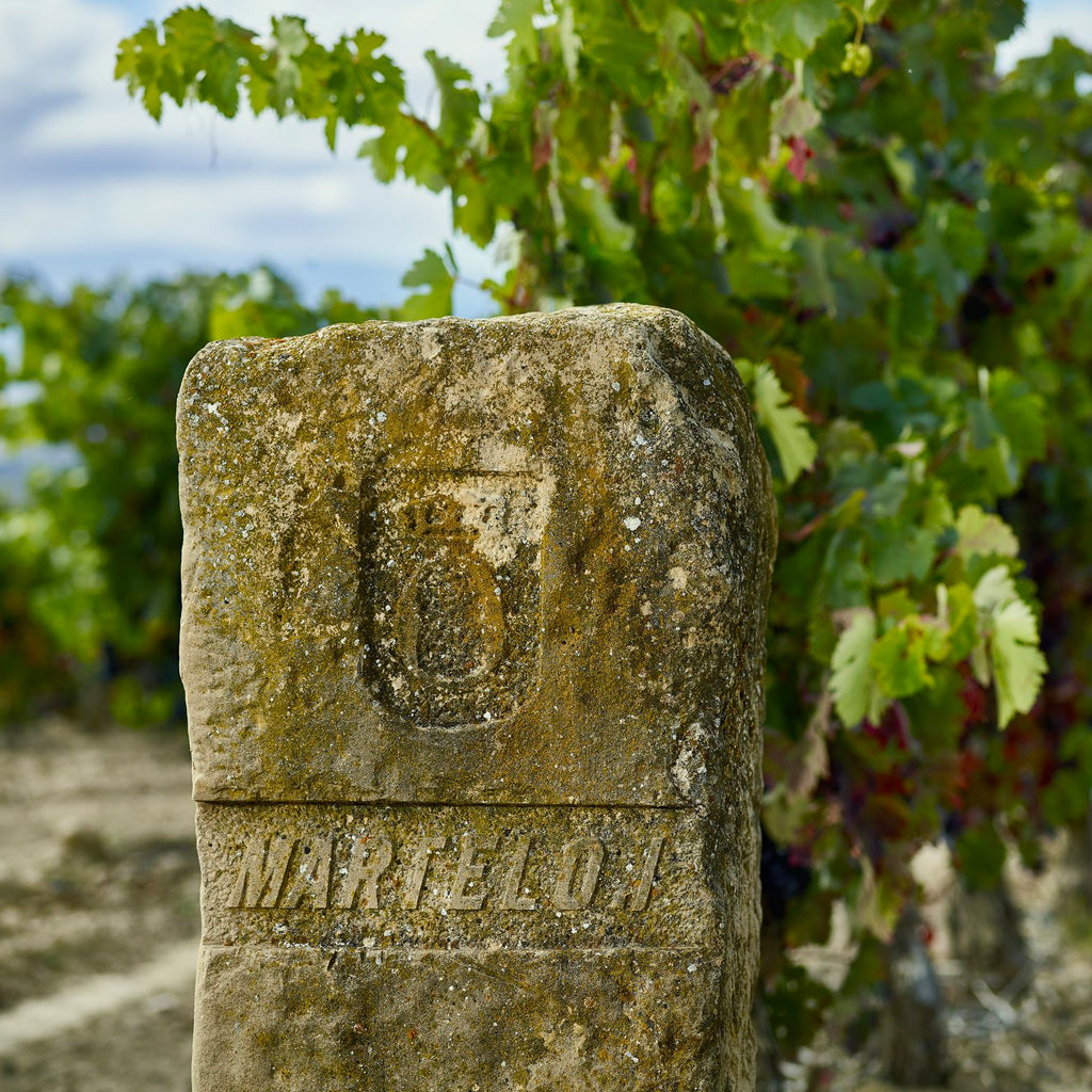 Finca Martelo Vineyard Marker Stone