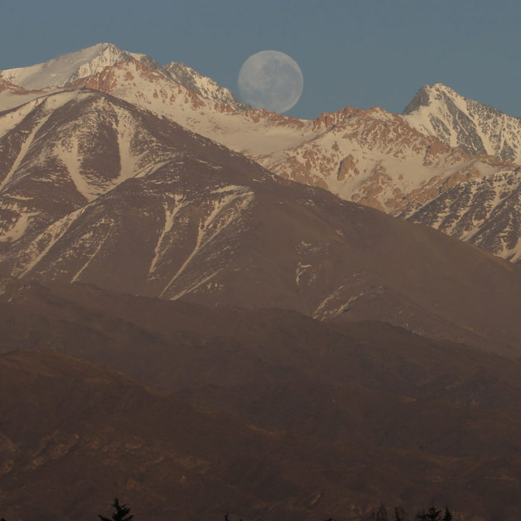Andeluna Cellars and Andes Mountains in Argentina