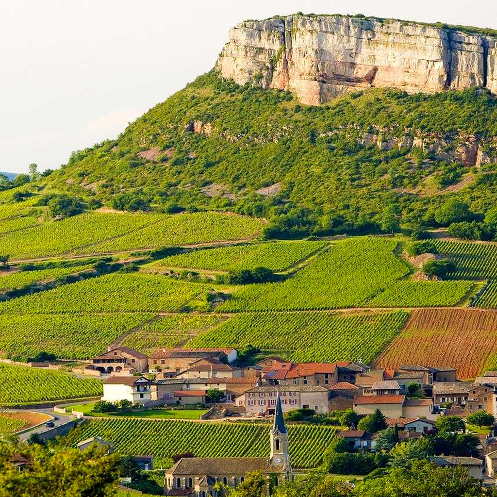 THE MÂCONNAIS