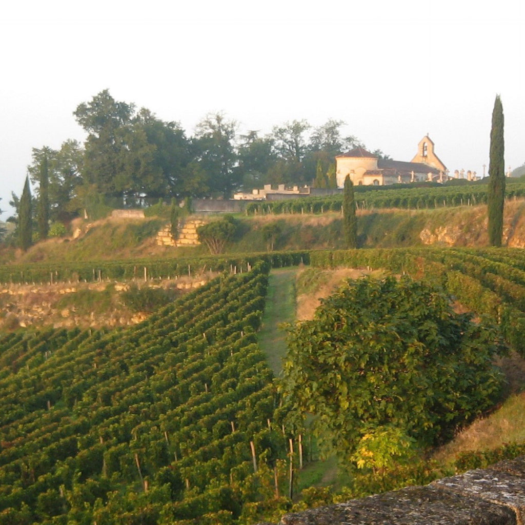 Tertre Roteboeuf | Saint Émilion Grand Cru
