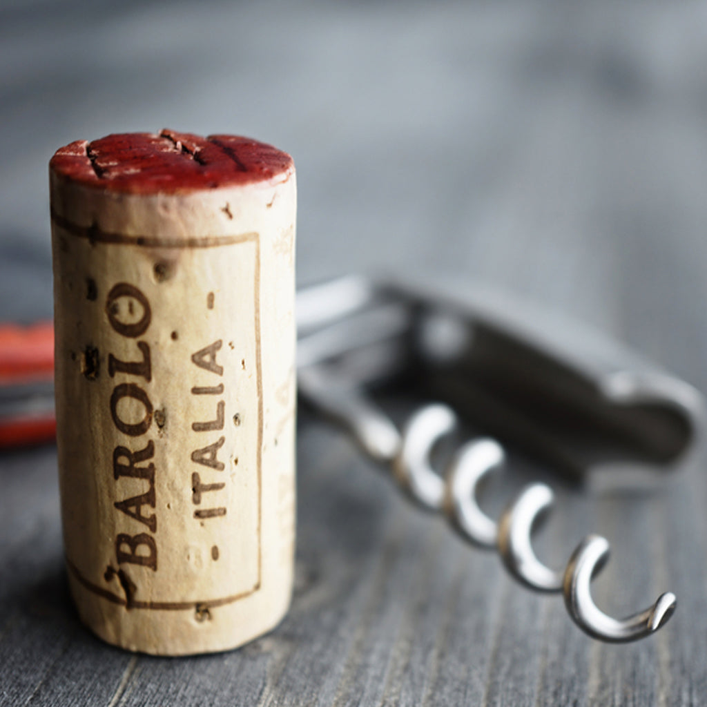 Italy | Barolo