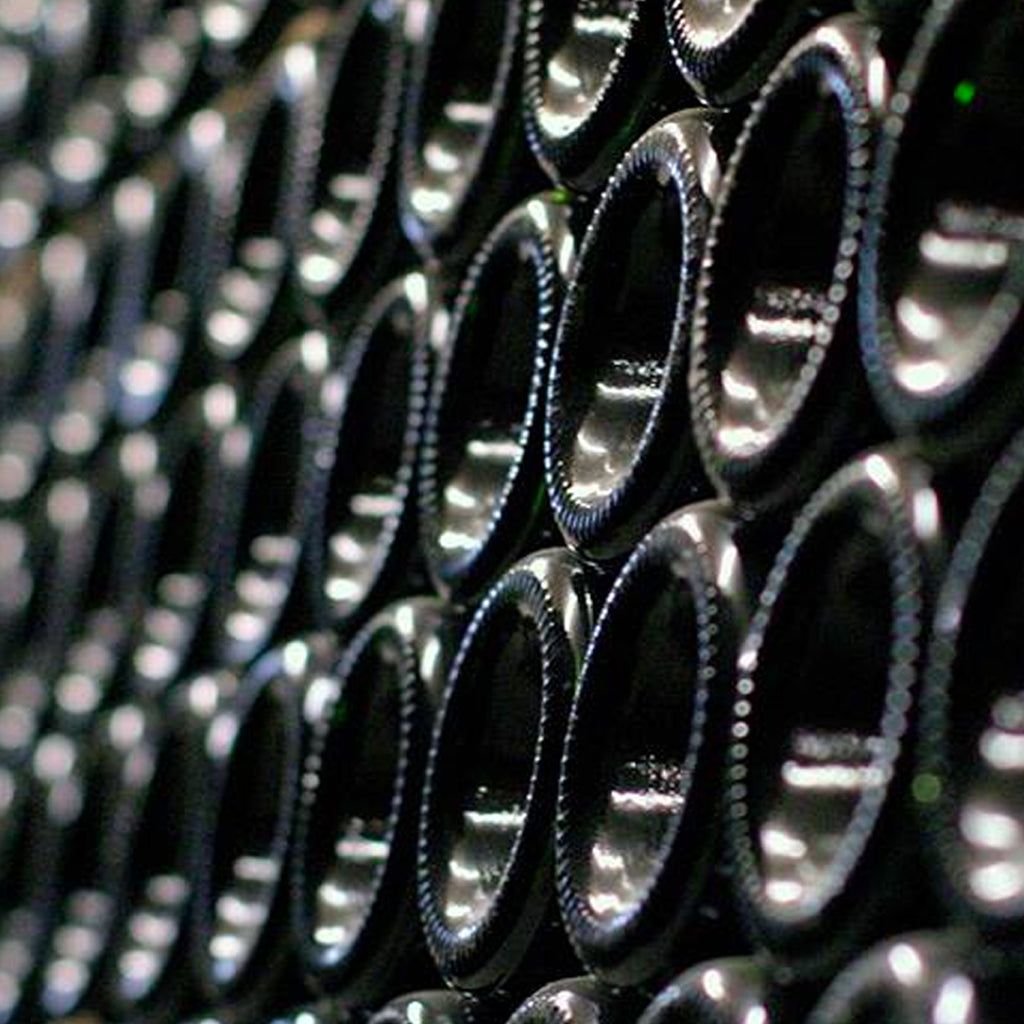 Chivite Family Estates | Navarra, Spain