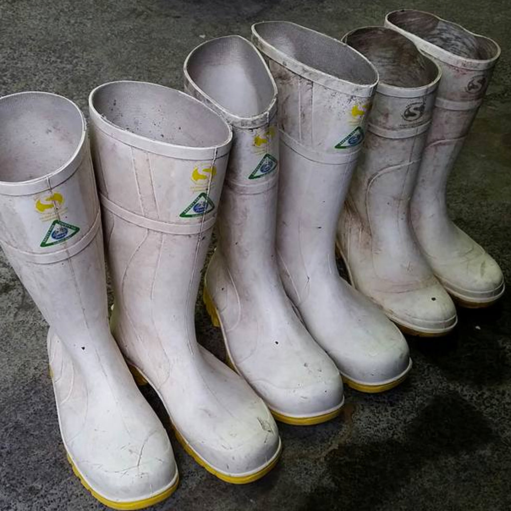 Coopers Creek Winemakers Wellington Boots