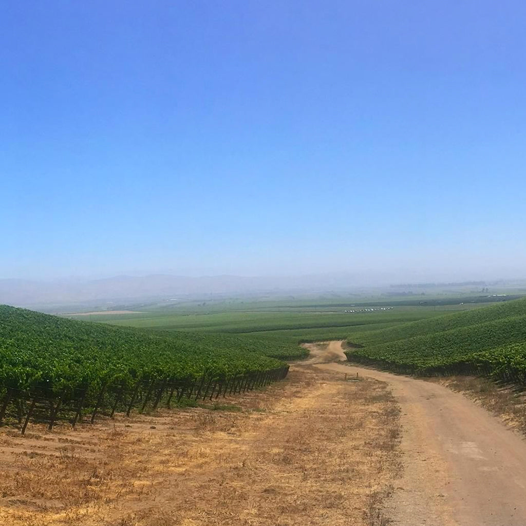 Carmel Road | Monteray