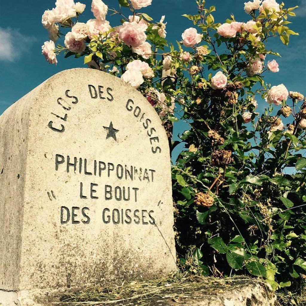 Champagne Philipponnat Clos des Goisses Marker Stone