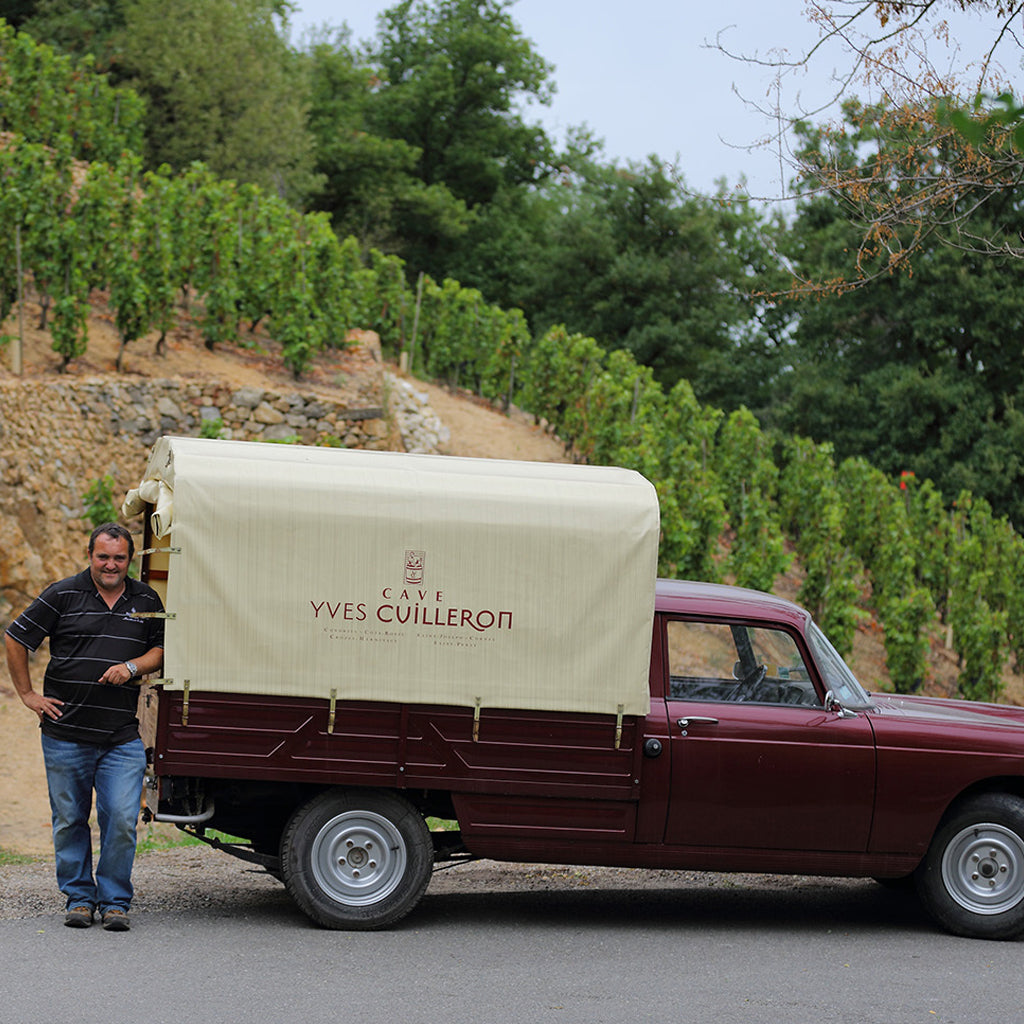 Domaine Yves Cuilleron, Condrieu in France