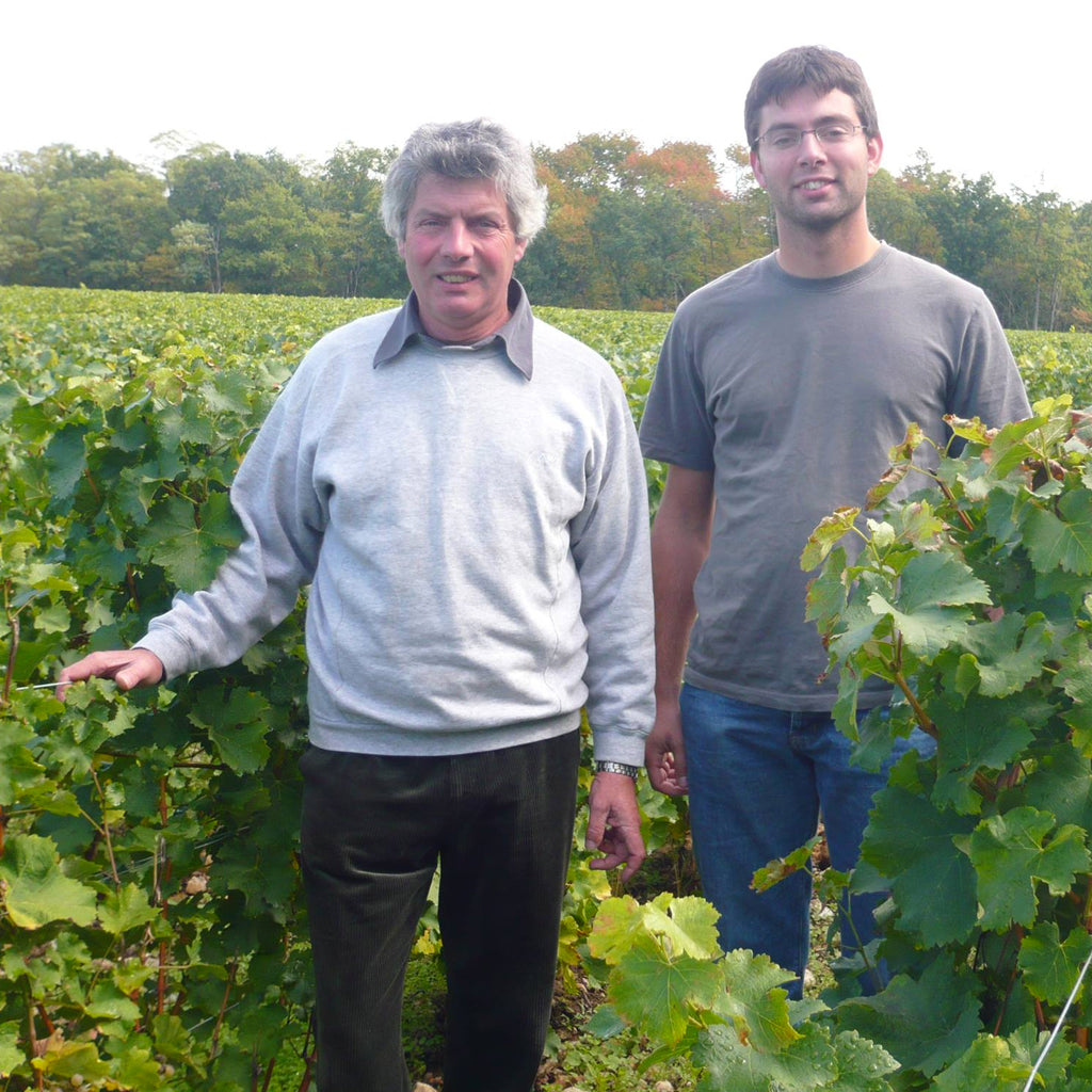 Domaine Alain Cailbourdin | Pouilly Fumé