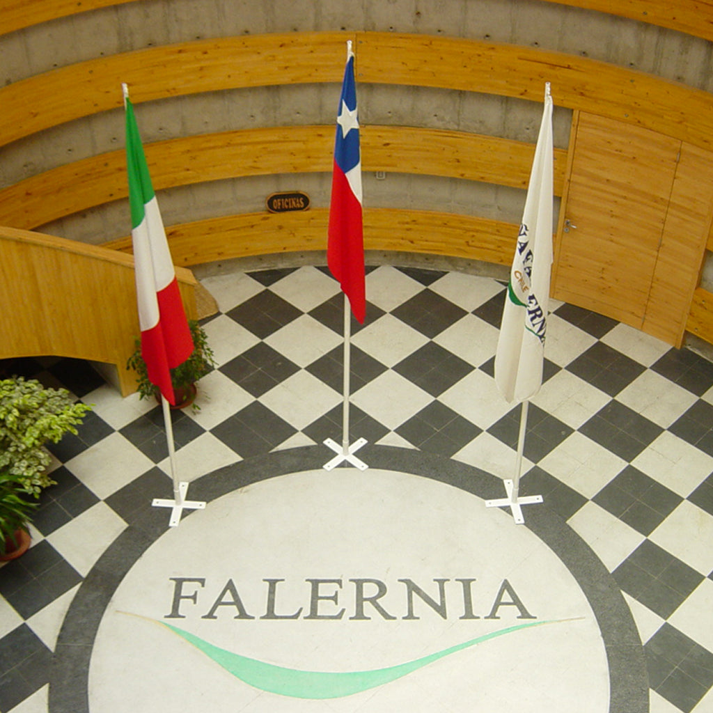 Viña Falernia | Elqui Valley, Chile