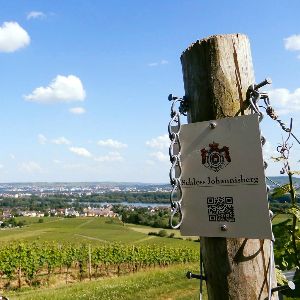 Schloss Johannisberg | Rheingau
