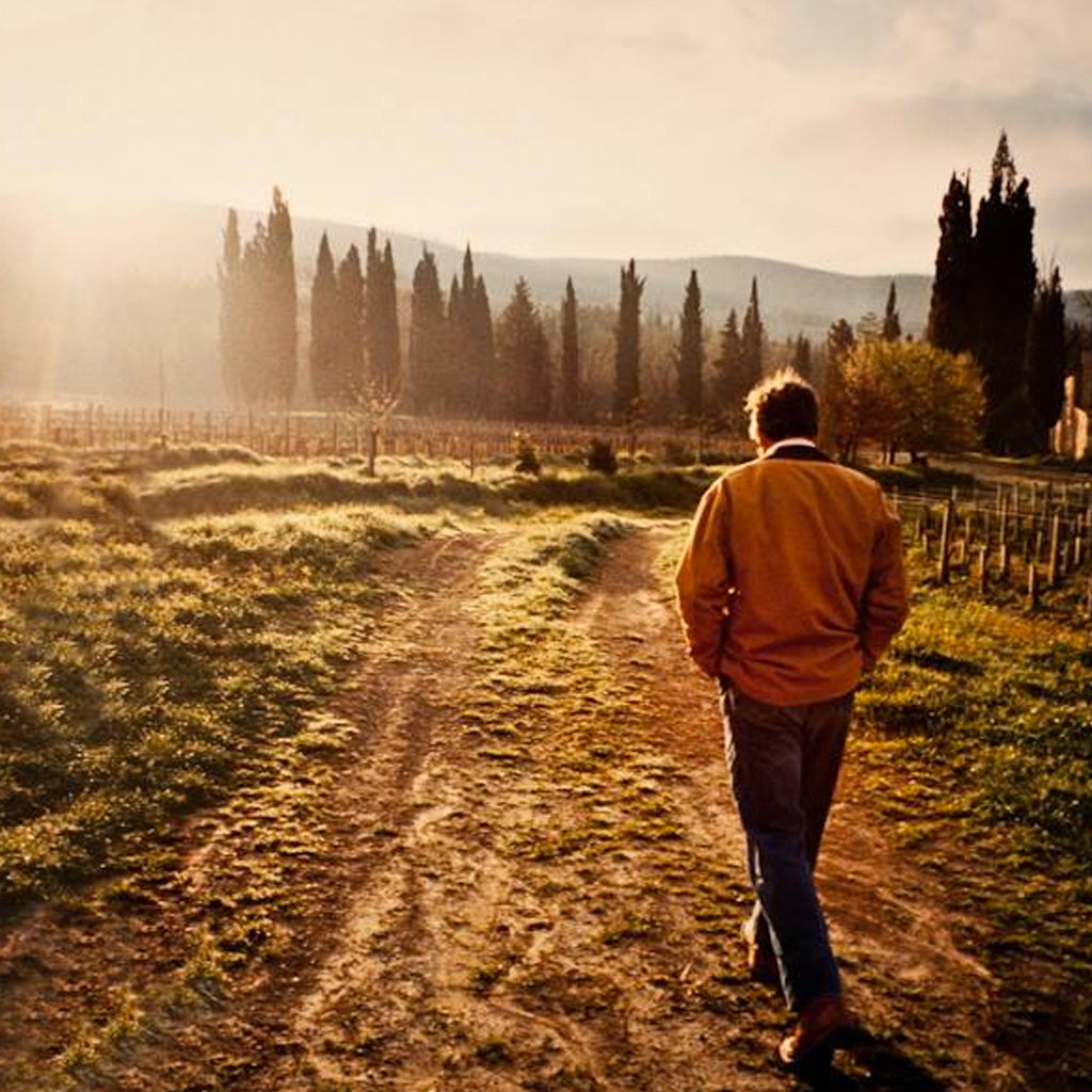Andrea Franchetti Walking in the Vineyards