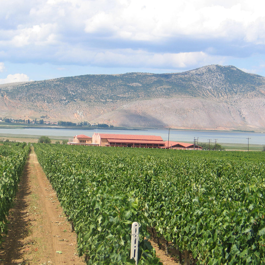 Alpha Wine Estate Winery in Greece