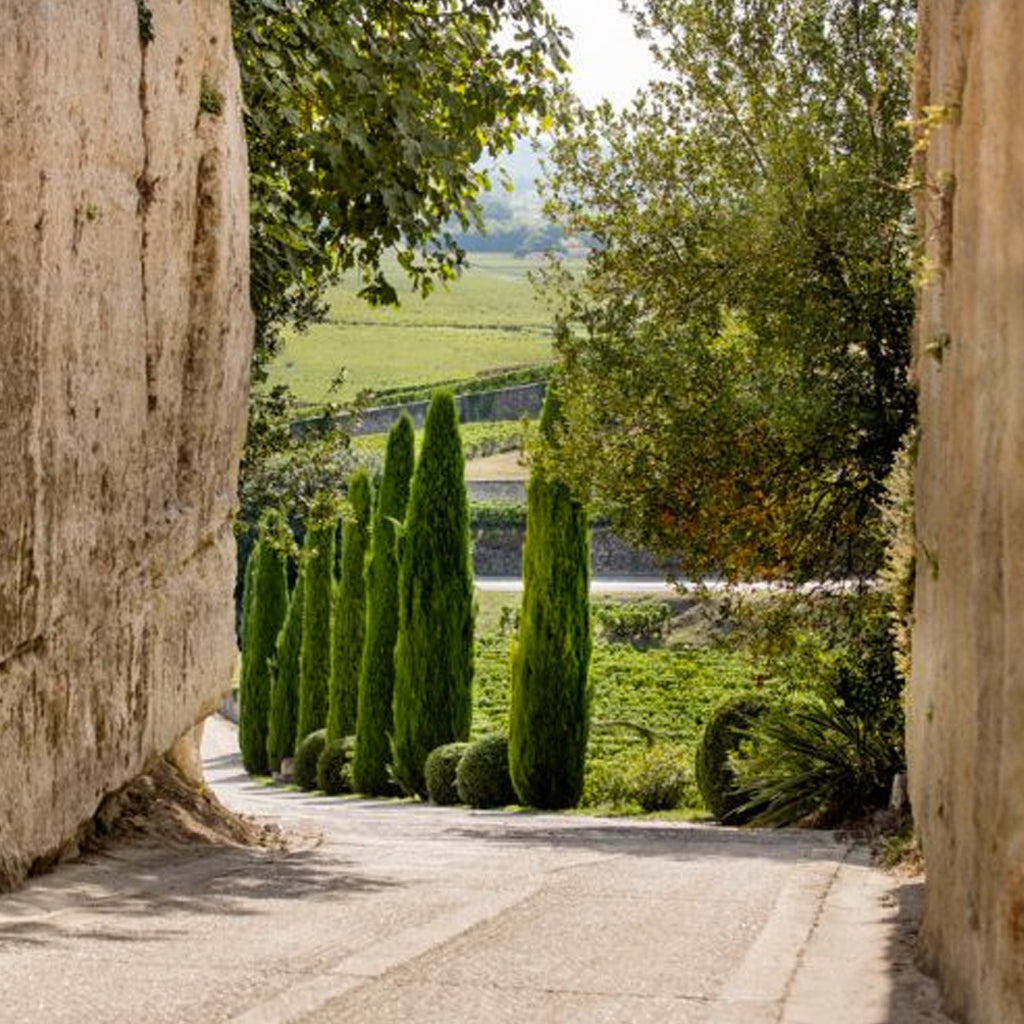 Château Bélair-Monange | Saint-Émilion Grand Cru