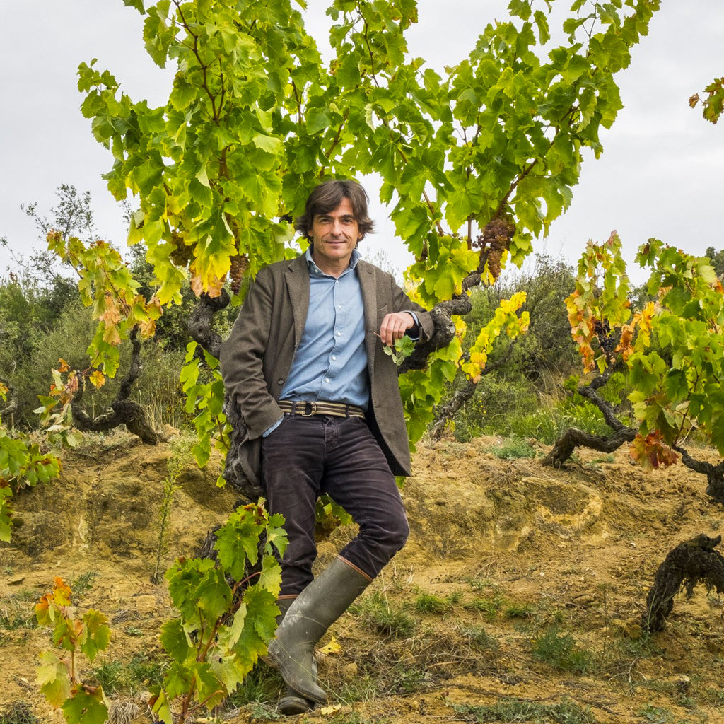 Telmo Rodríguez in the Vineyard