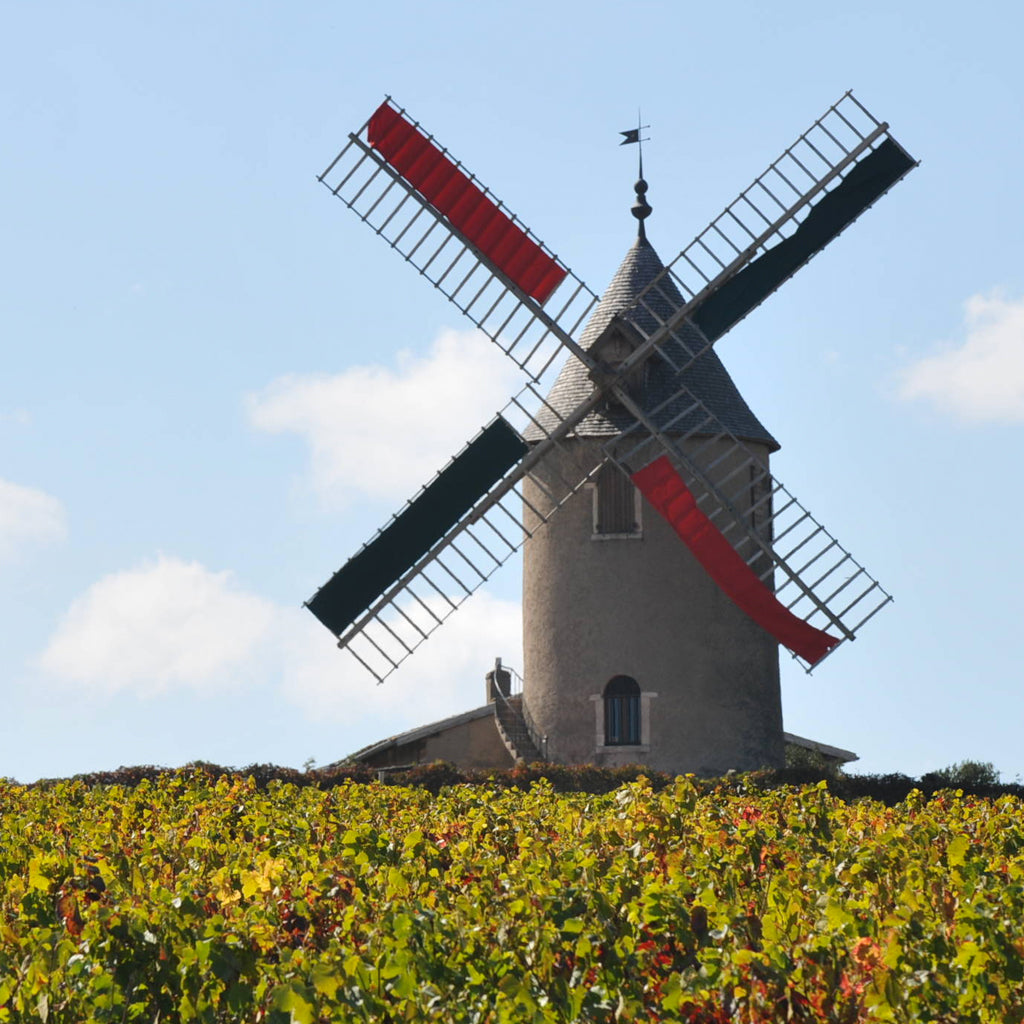 Domaine Labruyère | Moulin-à-Vent