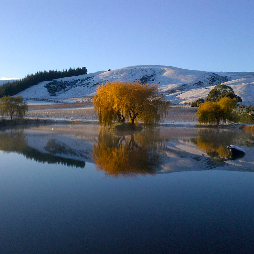 Muddy Water Wine | Waipara