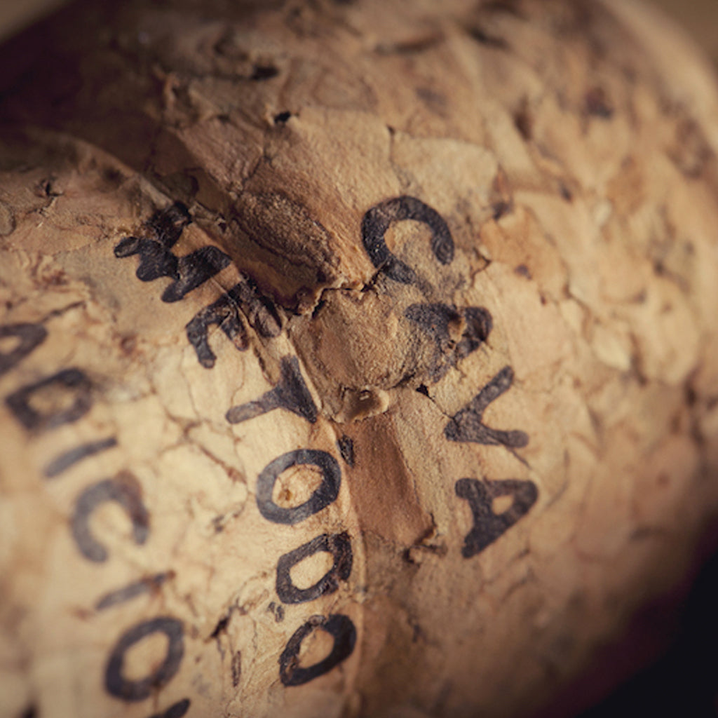 A close up image of a sparkling wine cork with the word Cava stamped on it