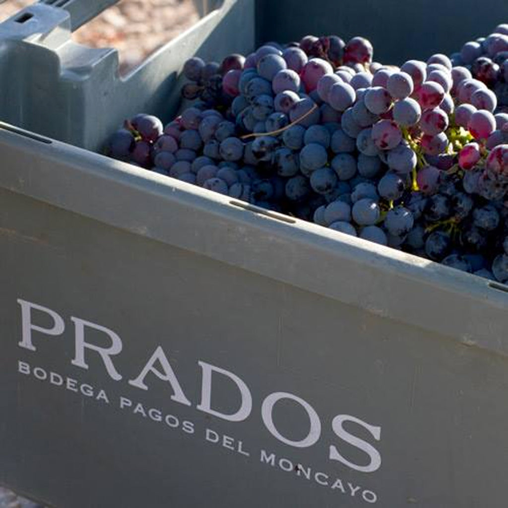 Prados Bodegas Pagos del Moncayo