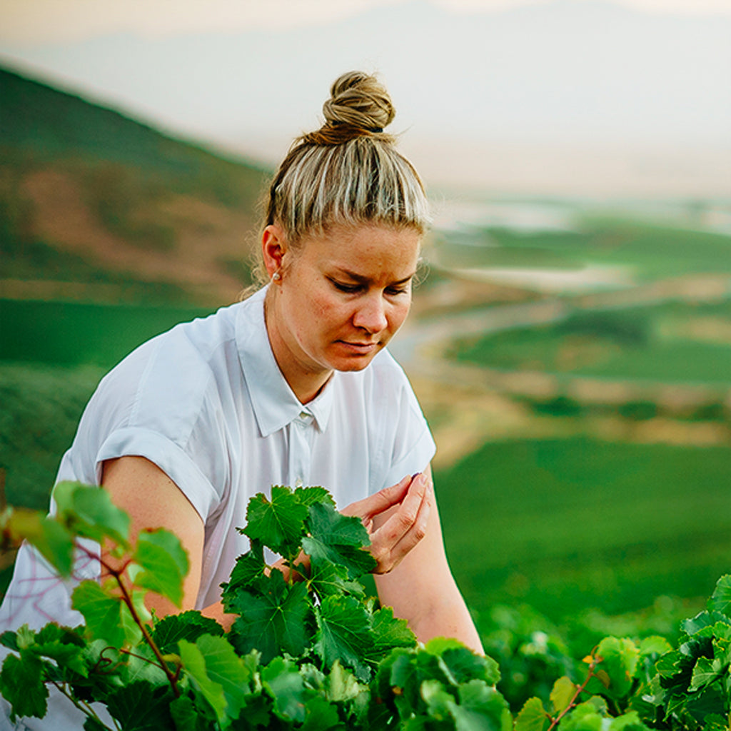 Jolandie Fouché Wolf & Woman winemaker in the vineyards