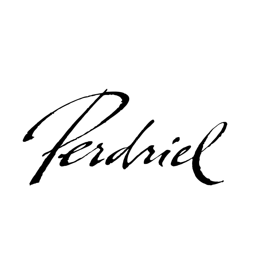 Bodega Norton Perdriel Logo