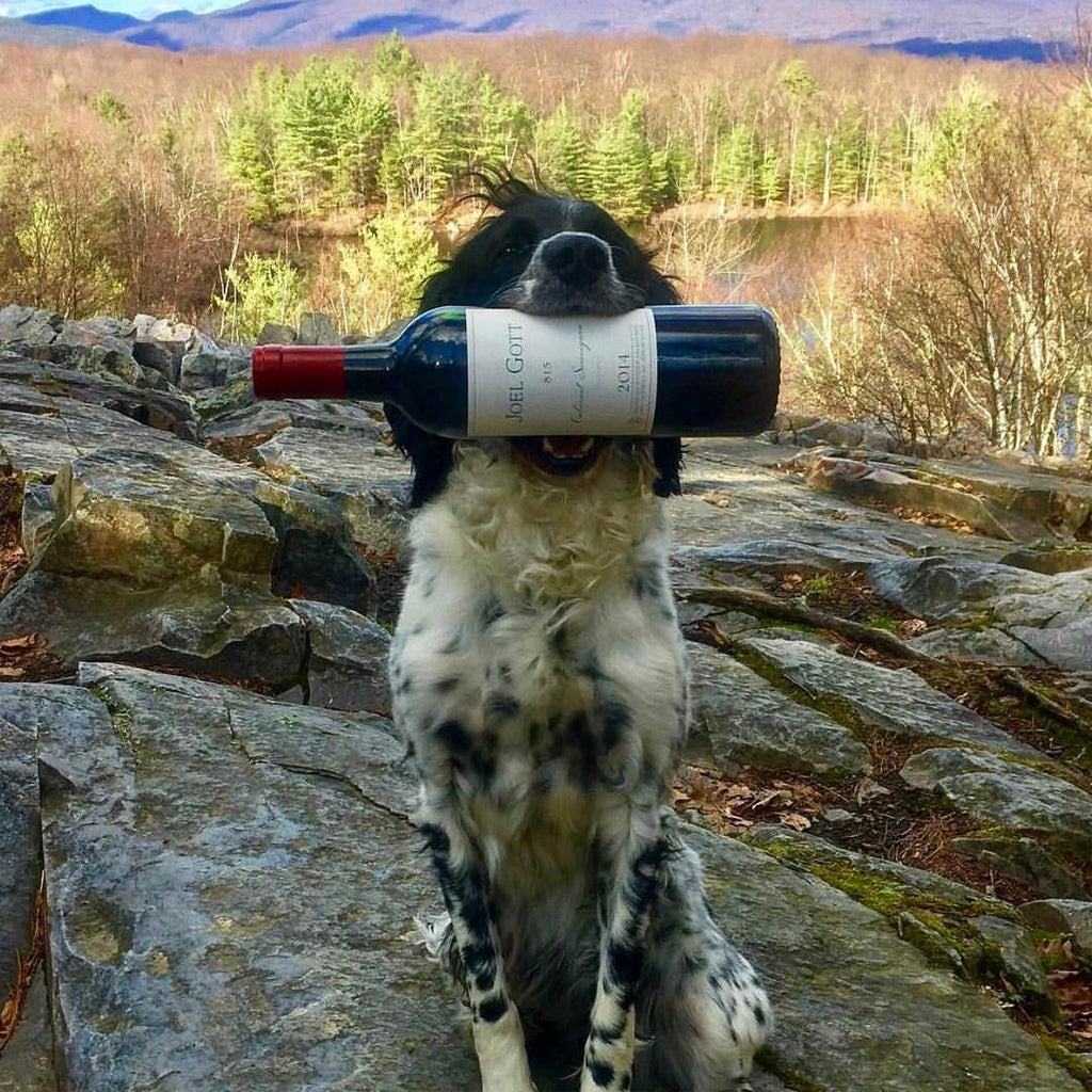 Joel Gott Wines California