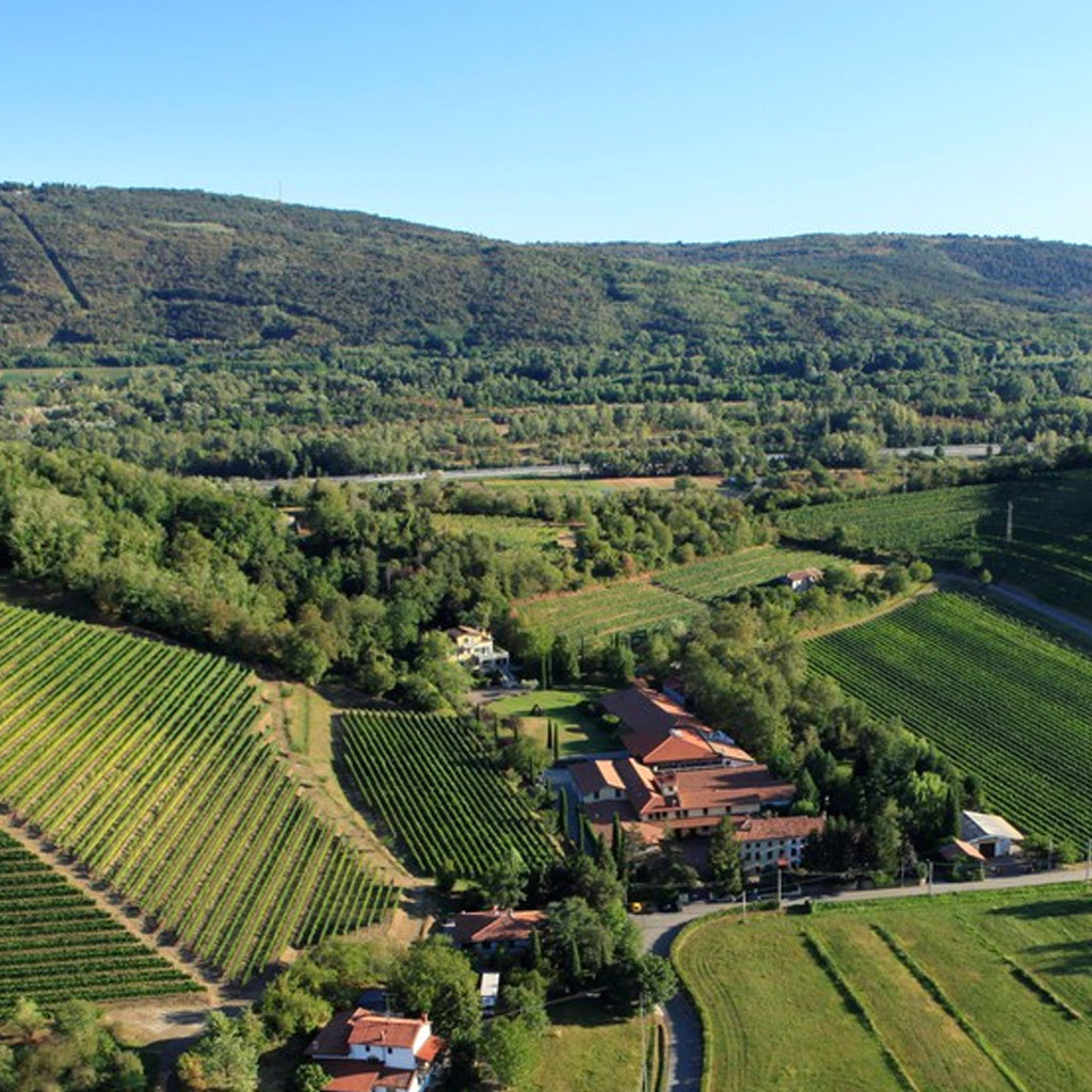 Jermann | Friuli Venezia Giulia, Italy