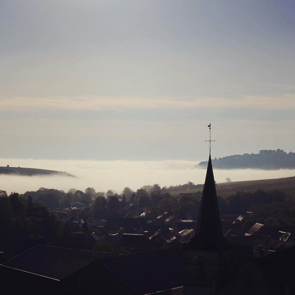 Domaine Henri Bourgeois | Sancerre, France