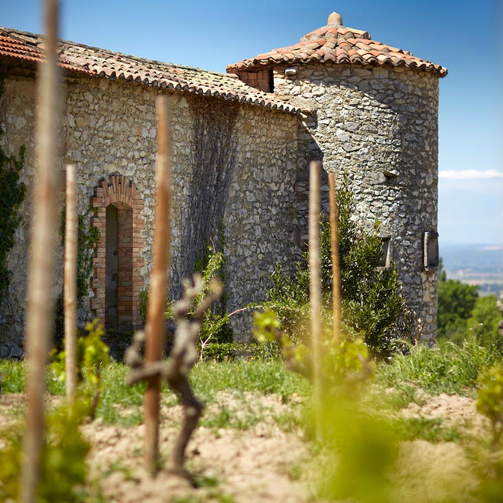 Family Perrin Tourelles Property in Gigondas 