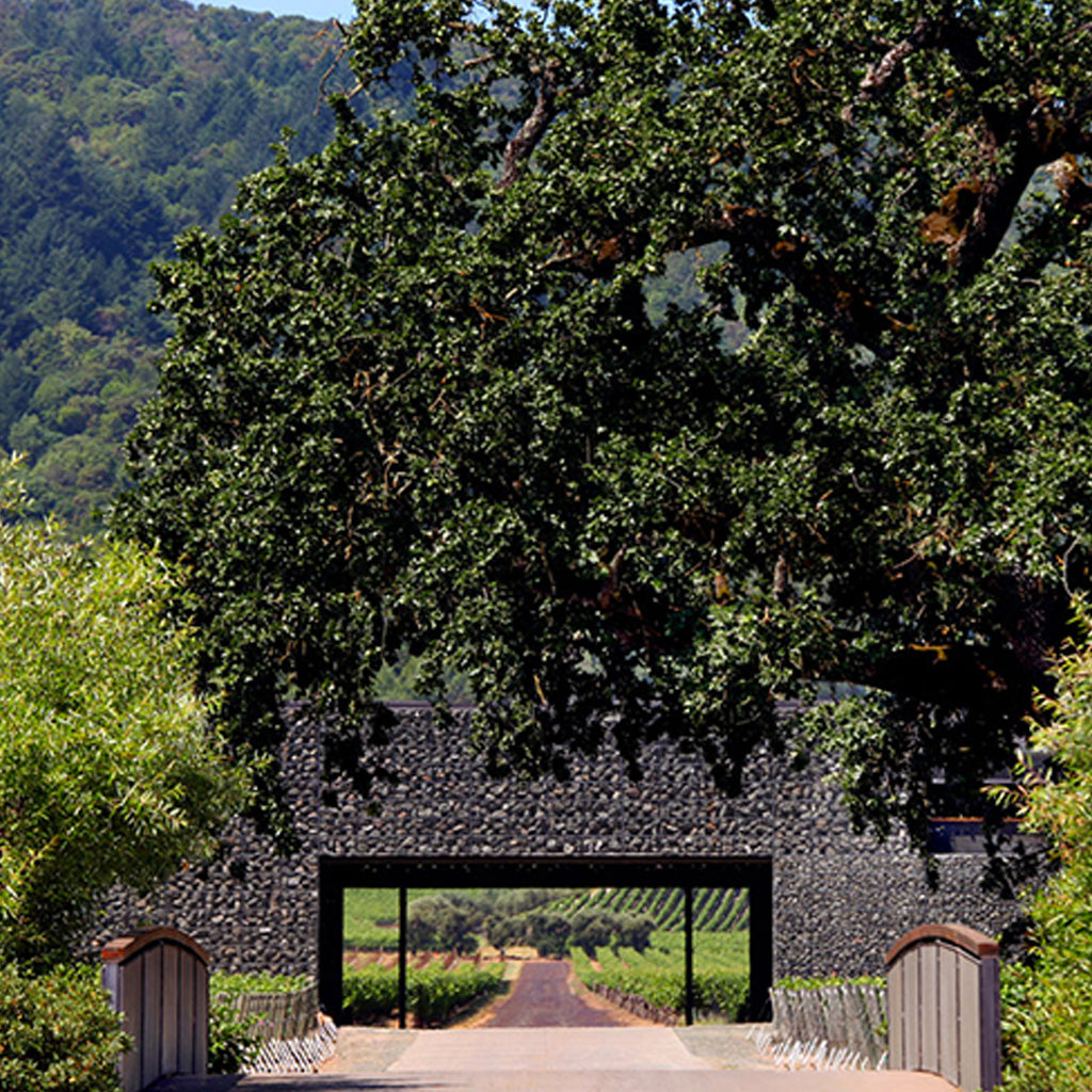 Dominus Estate | Napa County