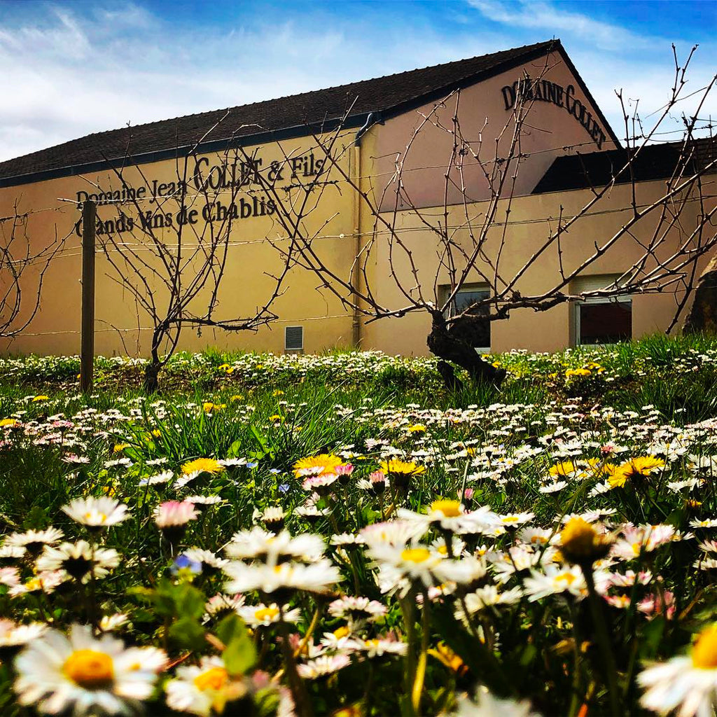 Domaine Jean Collet & Fils Winery Building in Chablis