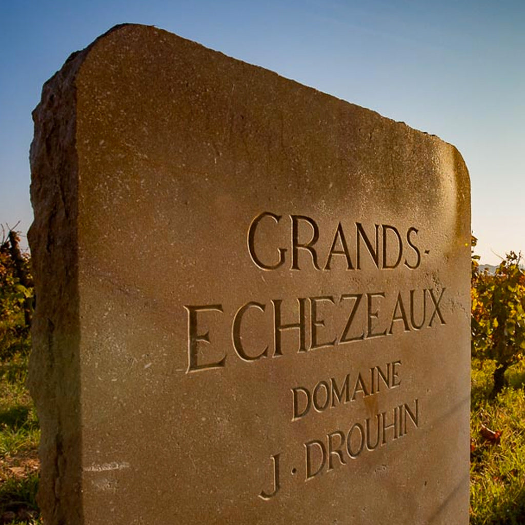 CÔTE DE NUITS