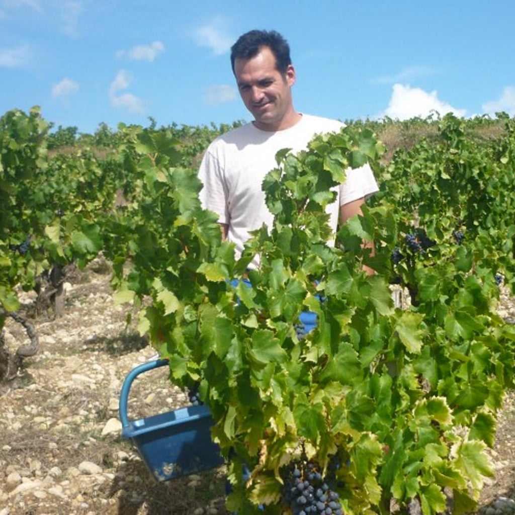 Domaine Gourt de Mautens | Rasteau
