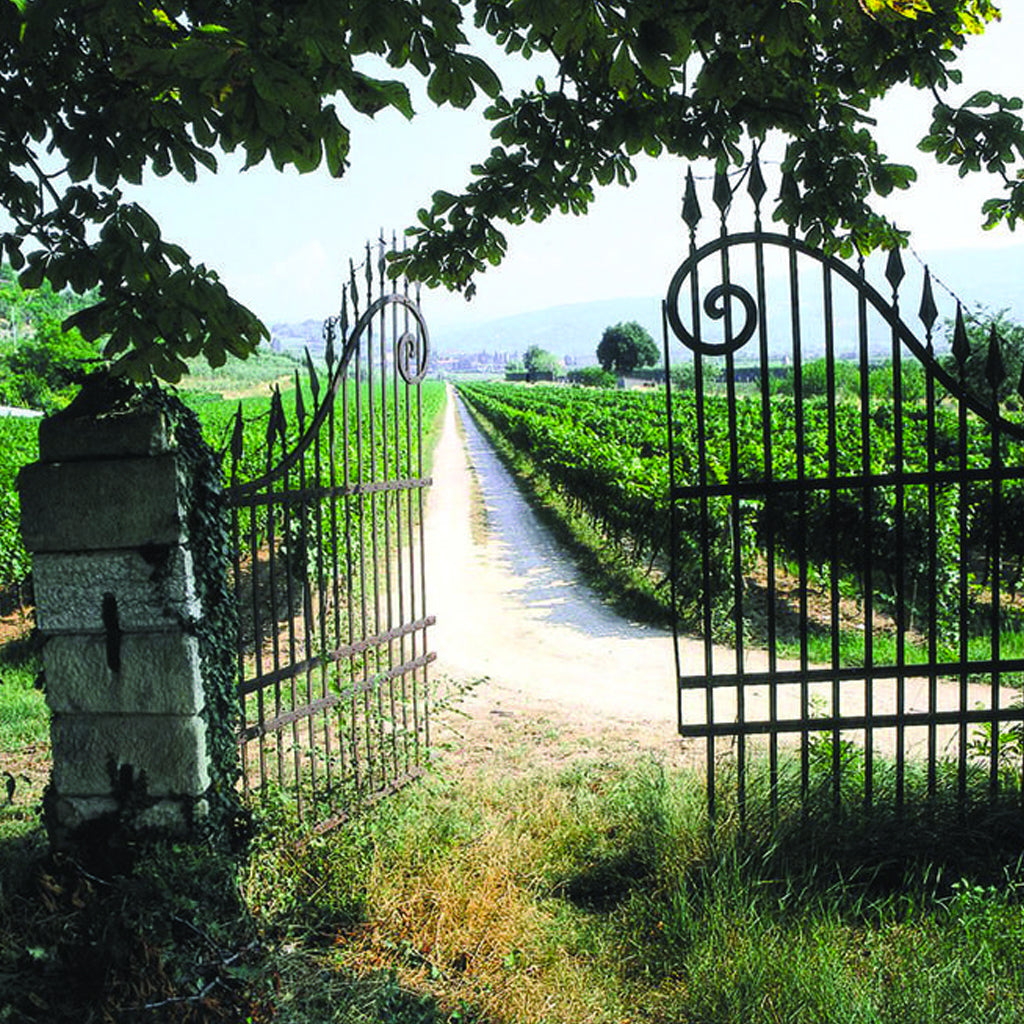 Cecilia Beretta | The Veneto