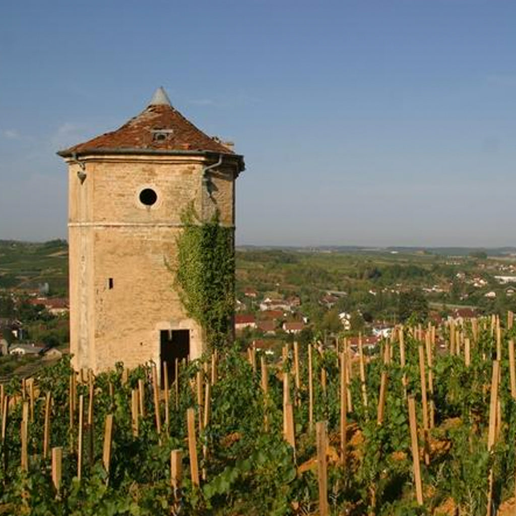 THE JURA