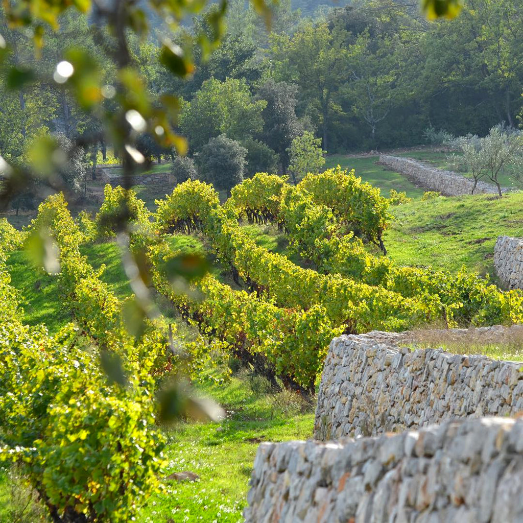 PROVENCE