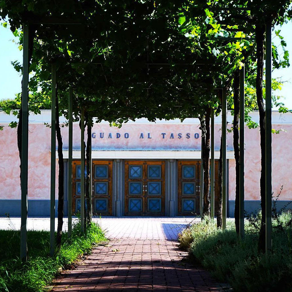 Entrance to Tenuta Guado al Tasso
