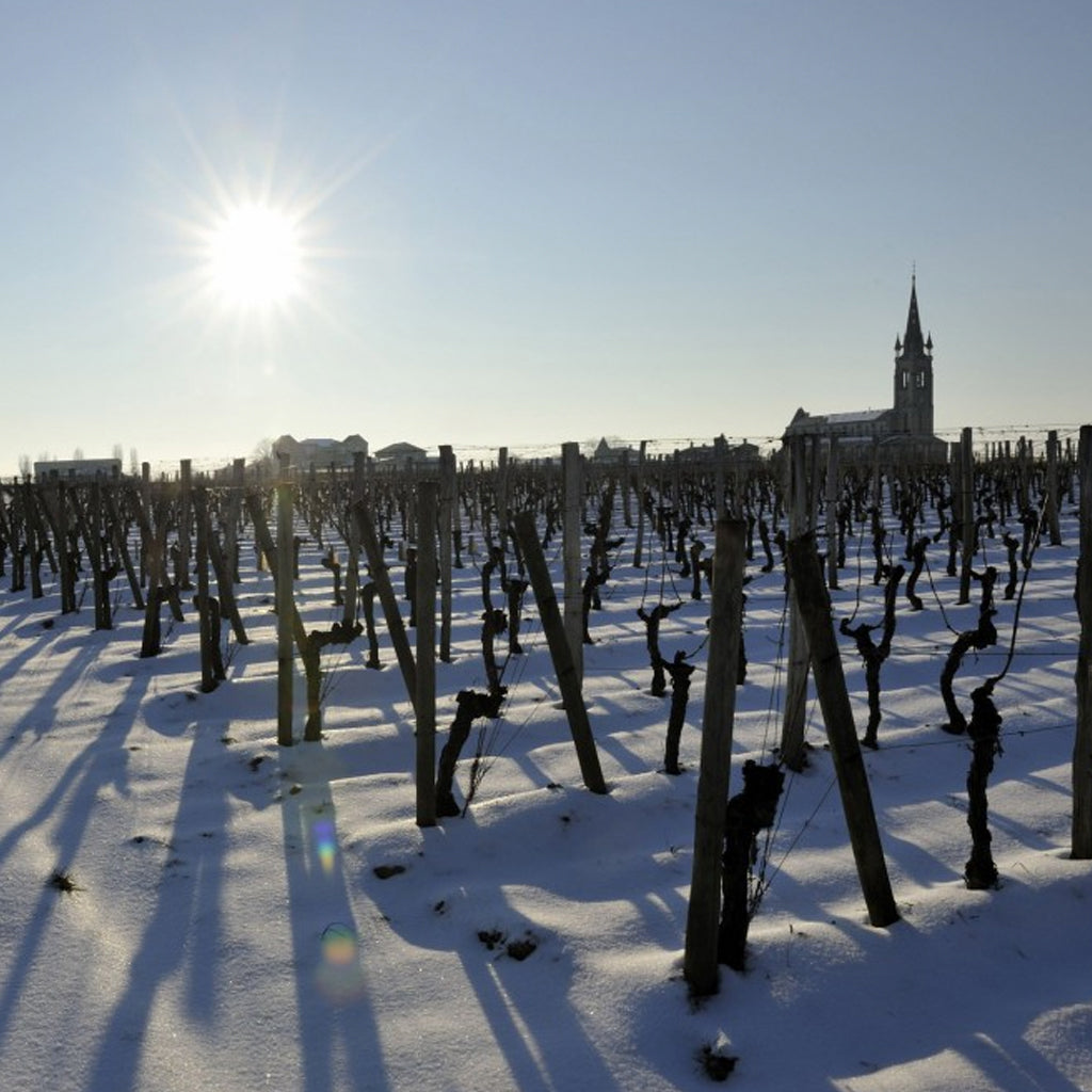 Château L'Eglise-Clinet | Pomerol