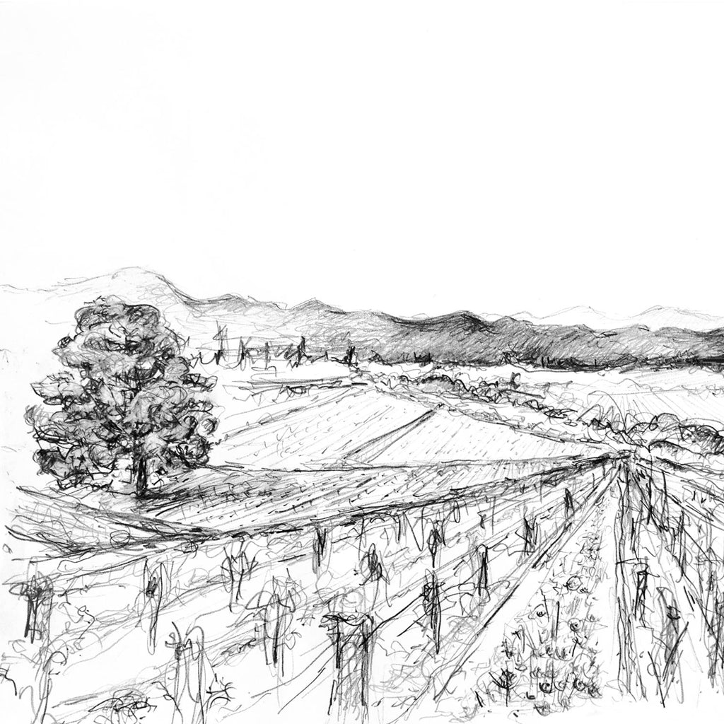 D'Alamel Vineyards Artwork