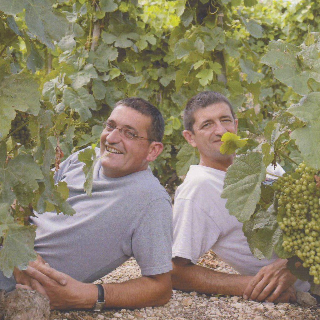 Domaine Courbis | Saint Joseph