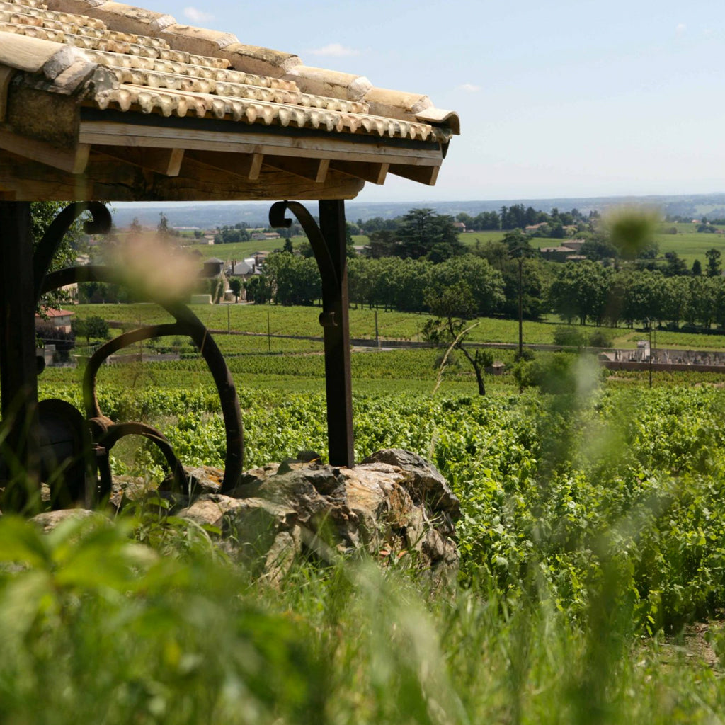 Domaine Lathuilière Gravallon Wines from Beaujolais in France