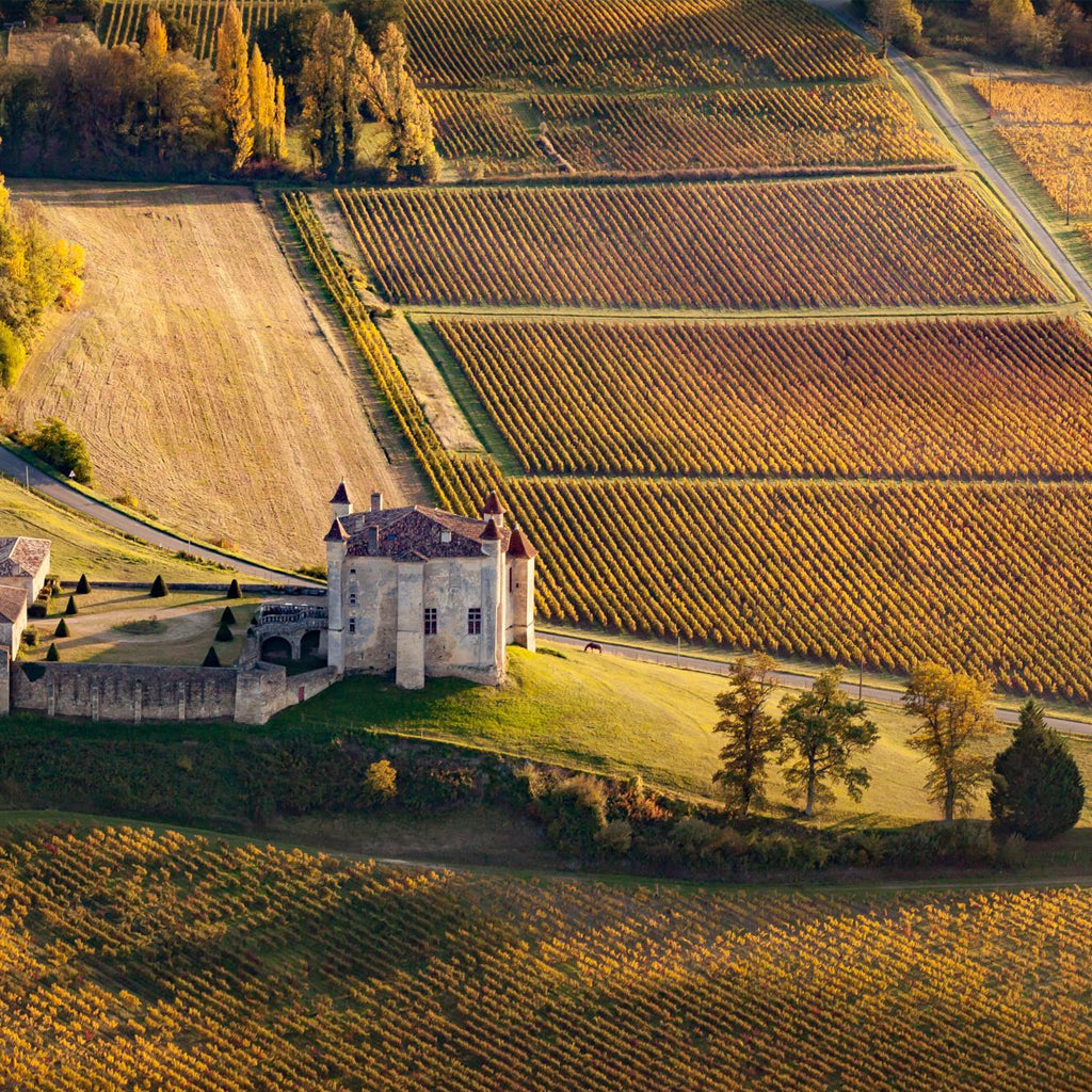 Aerial view of the medieval fortress of Château de Monbadon surrounded by rows of golden autumn vineyards in the Castillon Côtes de Bordeaux region.