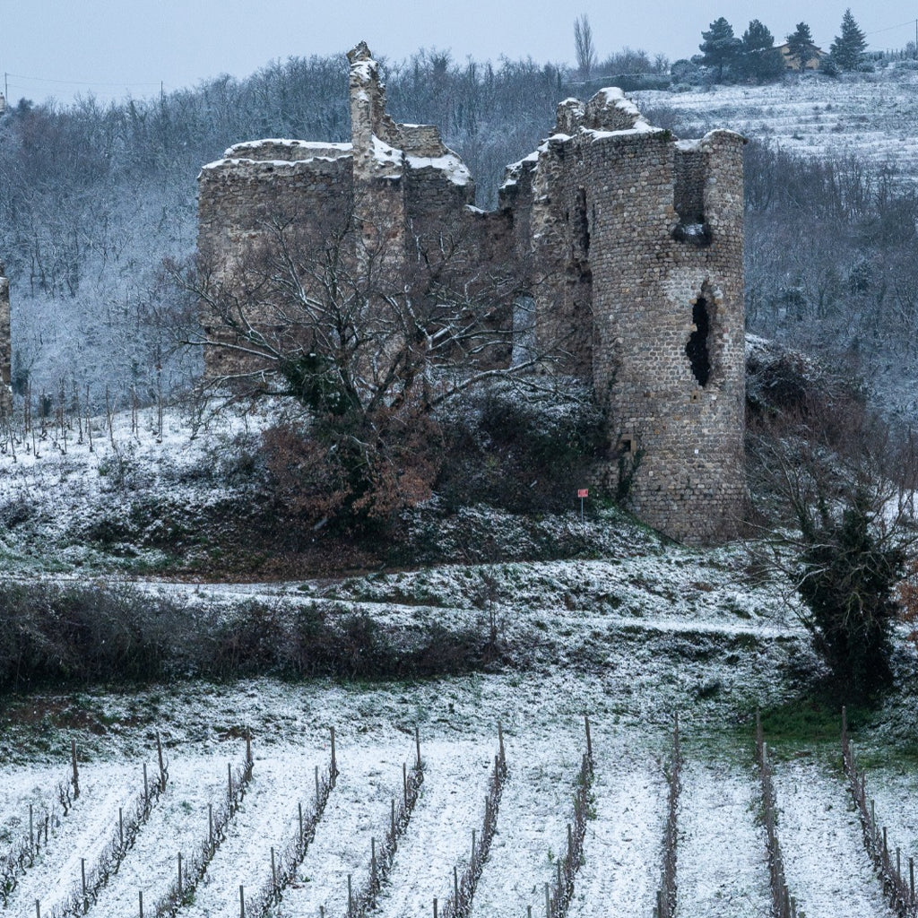 Bare winter grapevines in neat rows under a fresh dusting of snow, leading up a terraced hillside toward the weathered stone ruins of a medieval castle tower under an overcast sky.