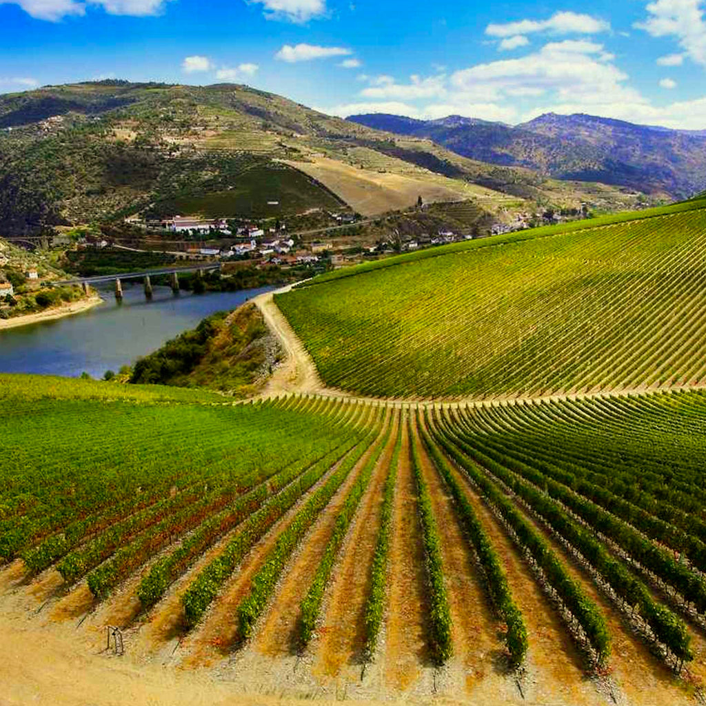 DUERO RIVER VALLEY